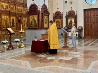 Молебен о чадородии помогает семьям стать родителями