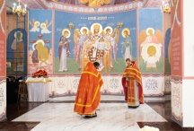 IMG_5652.jpg