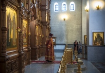 без имени-7.jpg